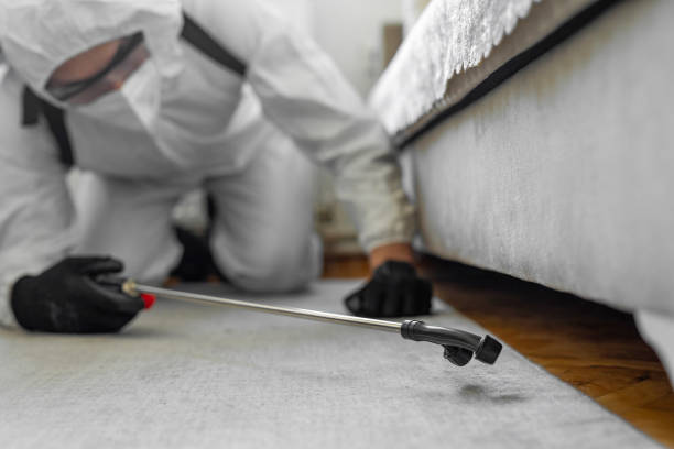 Professional Bed Bug Control technician working in Multnomah County County, OR